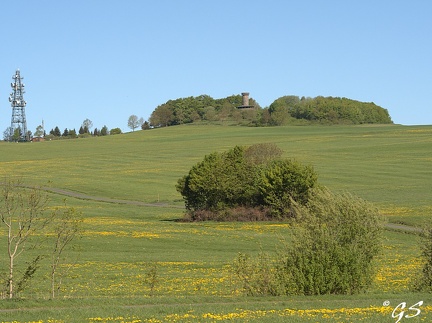Knüllköpchen