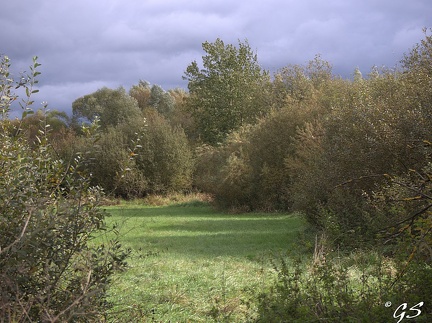 ca103233
