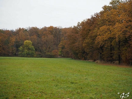 Waldspaziergang bei Trutzhain